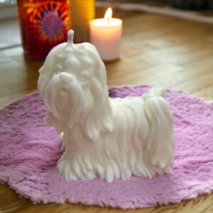 shih-tzu-kutya-gyertya