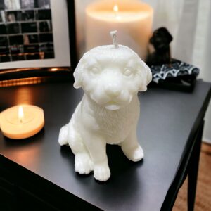 golden-retriever-kutya-gyertya
