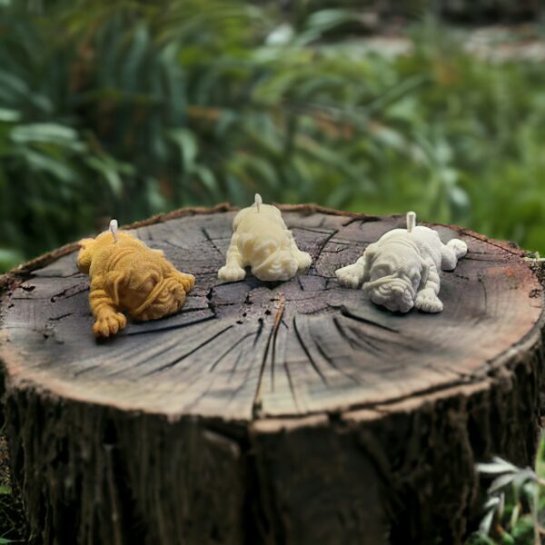 fekvo-francia-bulldog-gyertya